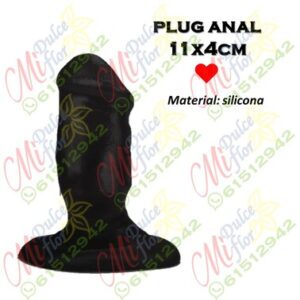 Plug anal