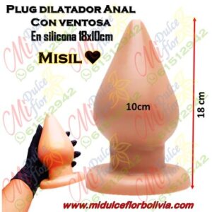 Plug anal grande