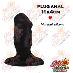 Diapositiva130 Plug anal