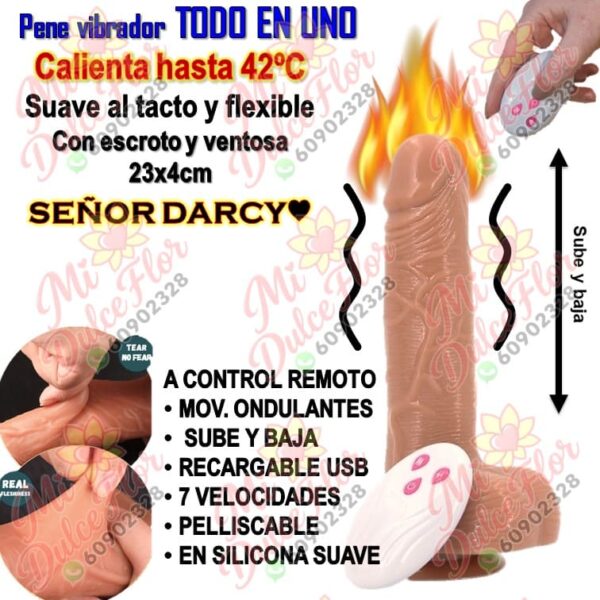 Diapositiva409 Pene vibrador TODO EN UNO con control
