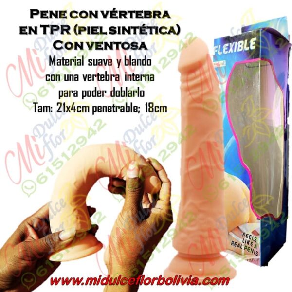 Pene con vertebra en TPR