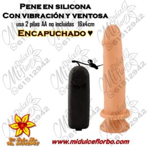 Diapositiva520(1) Pene en silicona con vibración