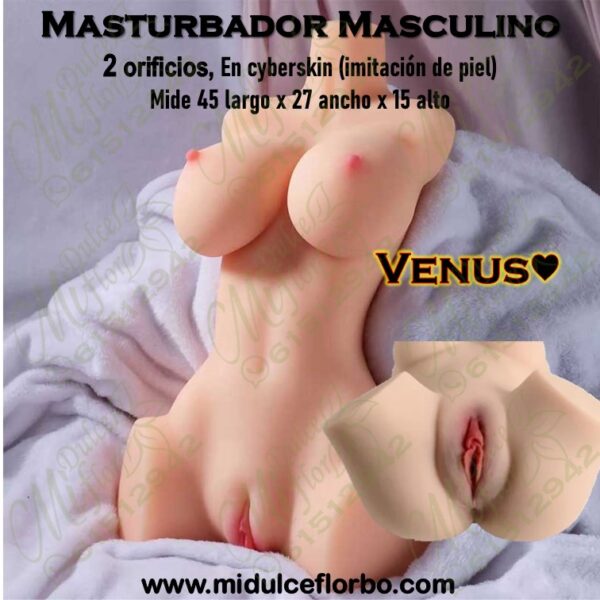 Masturbador masculino venus