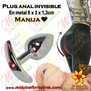 Plug anal en metal manija