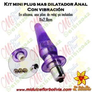 Plug anal con vibración