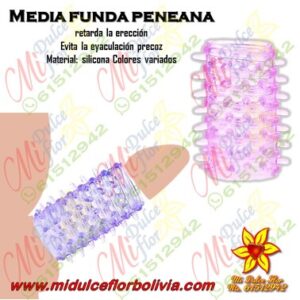Media funda peneana