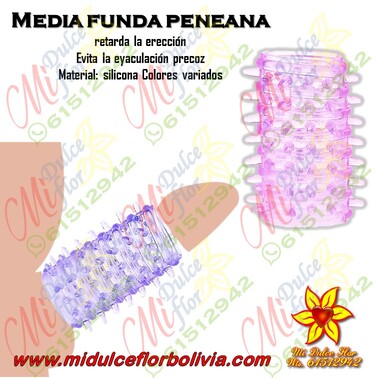 Media funda peneana