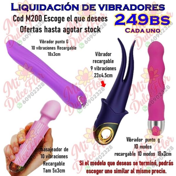 Diapositiva338(3) Liquidación de vibradores