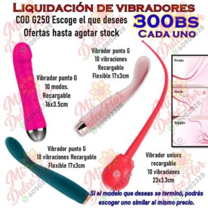 Diapositiva340(3) Liquidación de vibradores cod G250
