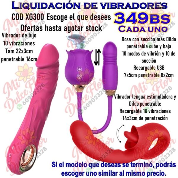 Diapositiva342(2) Liquidación de vibradores cod XG300