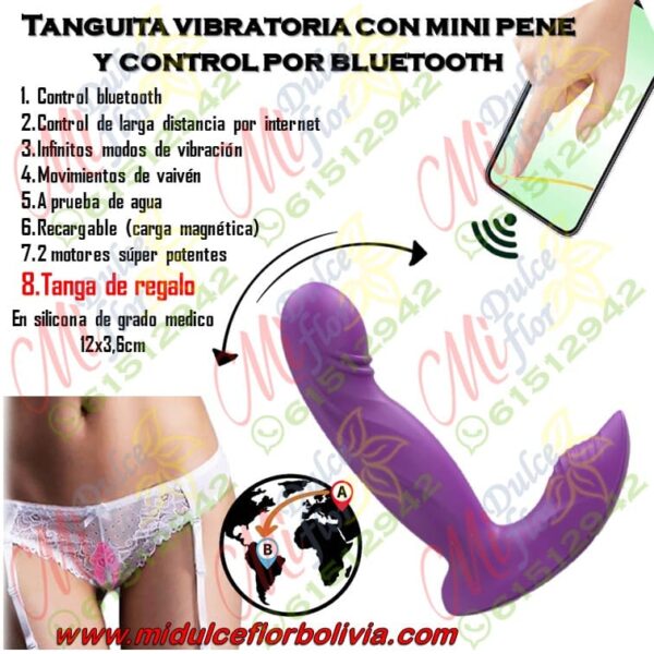 Tanguita vibratoria con mini pene y control