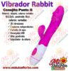 Diapositiva353 Vibrador Rabbit