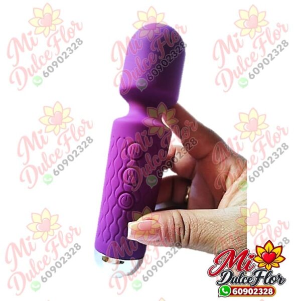 Diapositiva361(3) Vibrador y masajeador