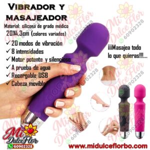 Diapositiva362(3) Vibrador y masajeador