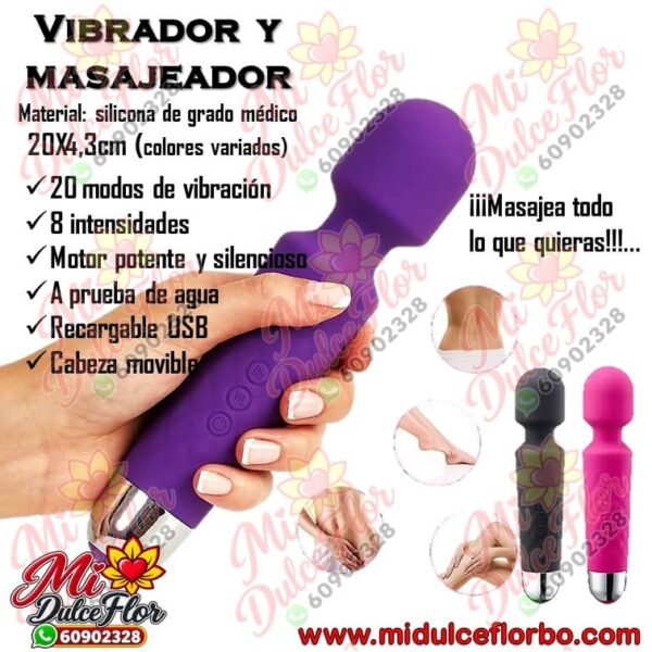 Diapositiva362(3) Vibrador y masajeador
