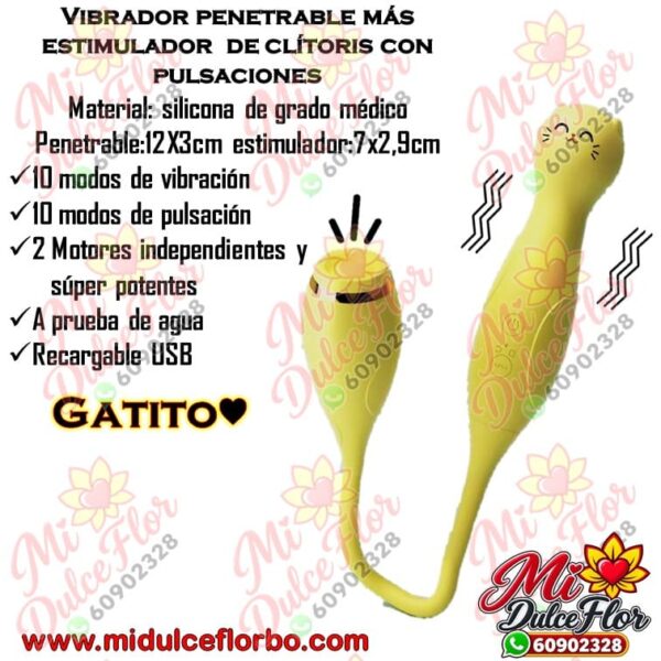 Diapositiva369(3) Vibrador penetrable con pulsaciones gatito