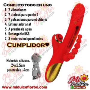 Diapositiva370(3) Conejito todo en uno Cumplidor