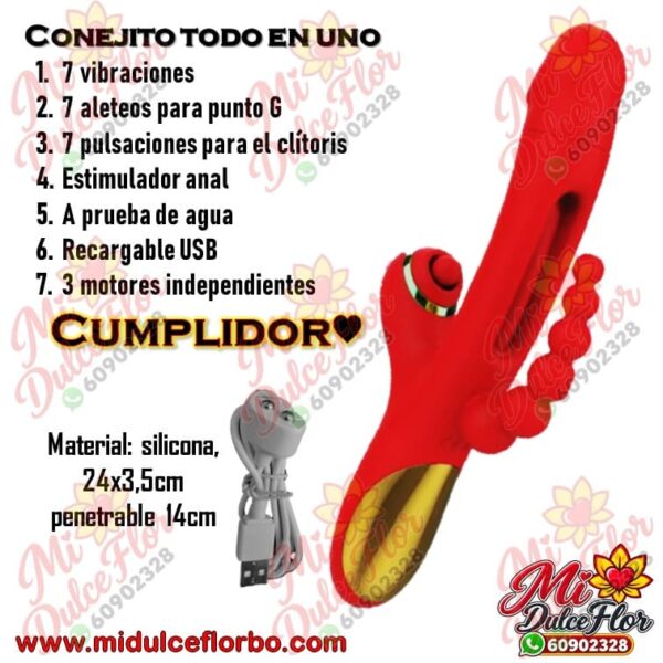 Diapositiva370(3) Conejito todo en uno Cumplidor