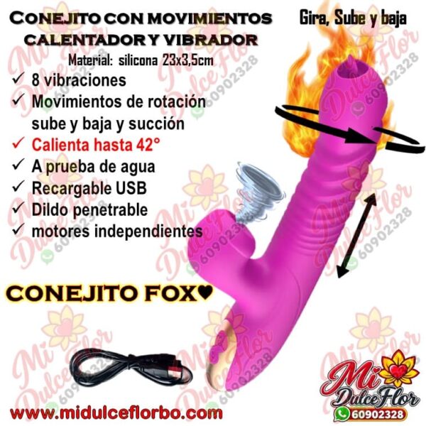 Diapositiva371(2) Conejito con movimientos Fox