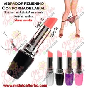 Diapositiva379(3) Vibrador femenino Labial