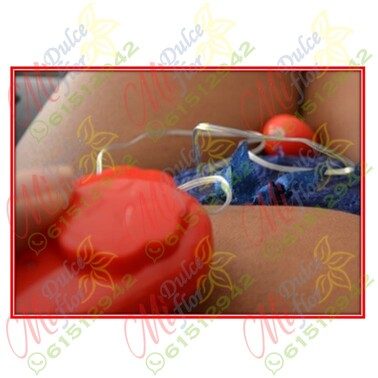 Kit huevito vibrador más tanga