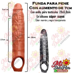 Diapositiva625(1) Funda con aumento y anillo