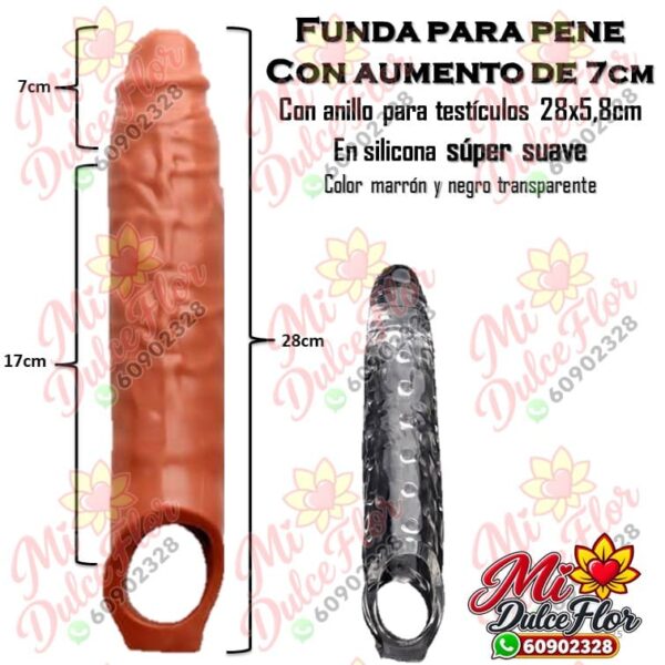 Diapositiva625(1) Funda con aumento y anillo