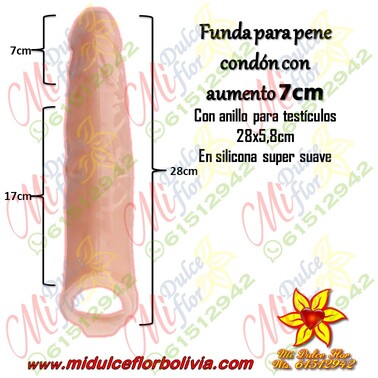 Diapositiva631 Funda con aumento y anillo