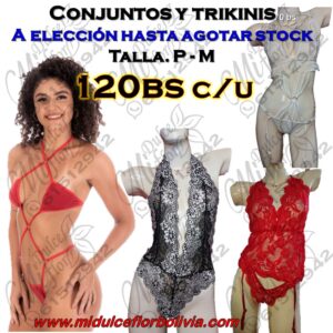 Diapositiva713 Conjuntos y trikinis