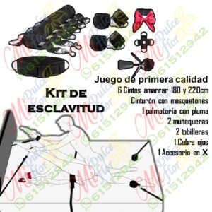 Diapositiva233 Kit de esclavitud